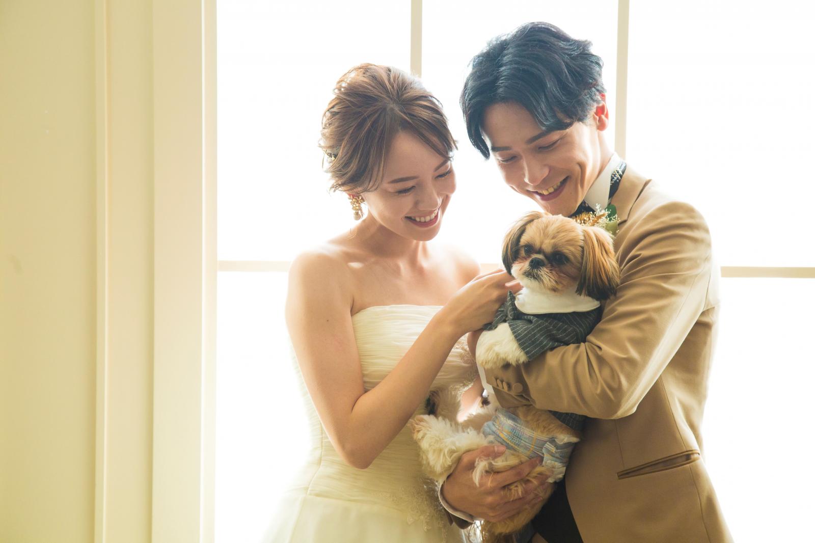 愛犬とのお写真も残せます