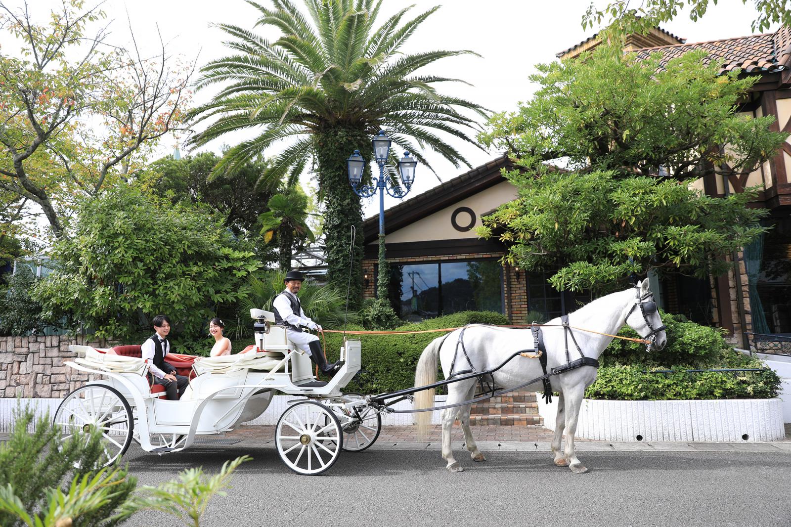 愛媛県では唯一のウェディング馬車演出。白馬のエンツォ君の他ポニーのプラムちゃんが登場することも。