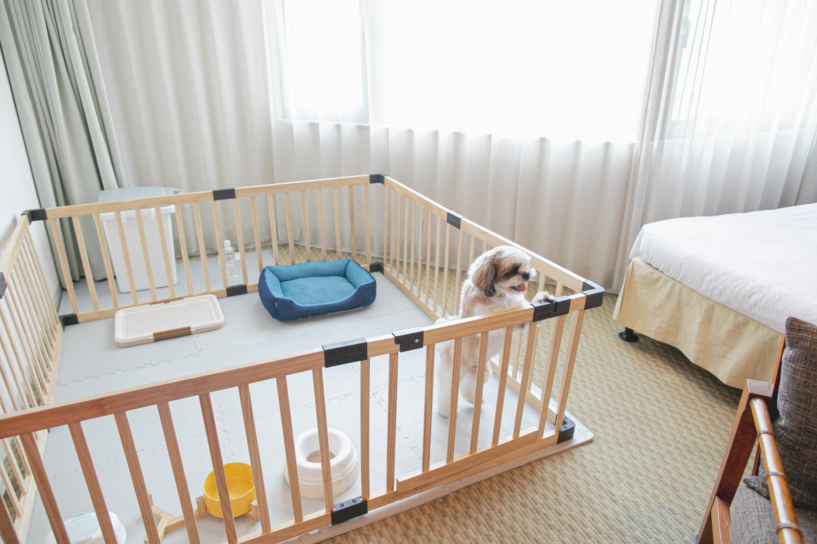一緒に2泊3日