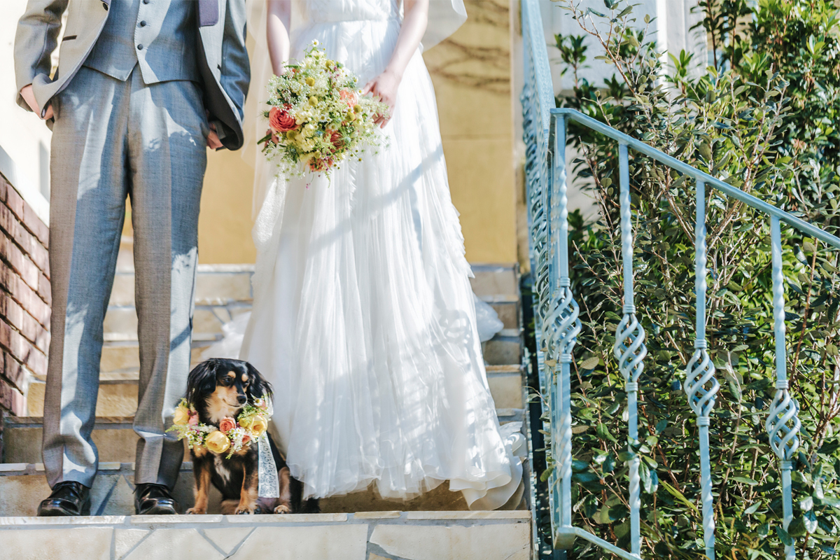 オーシャン リゾート マリゾン 写真 ムービー 結婚スタイルマガジン