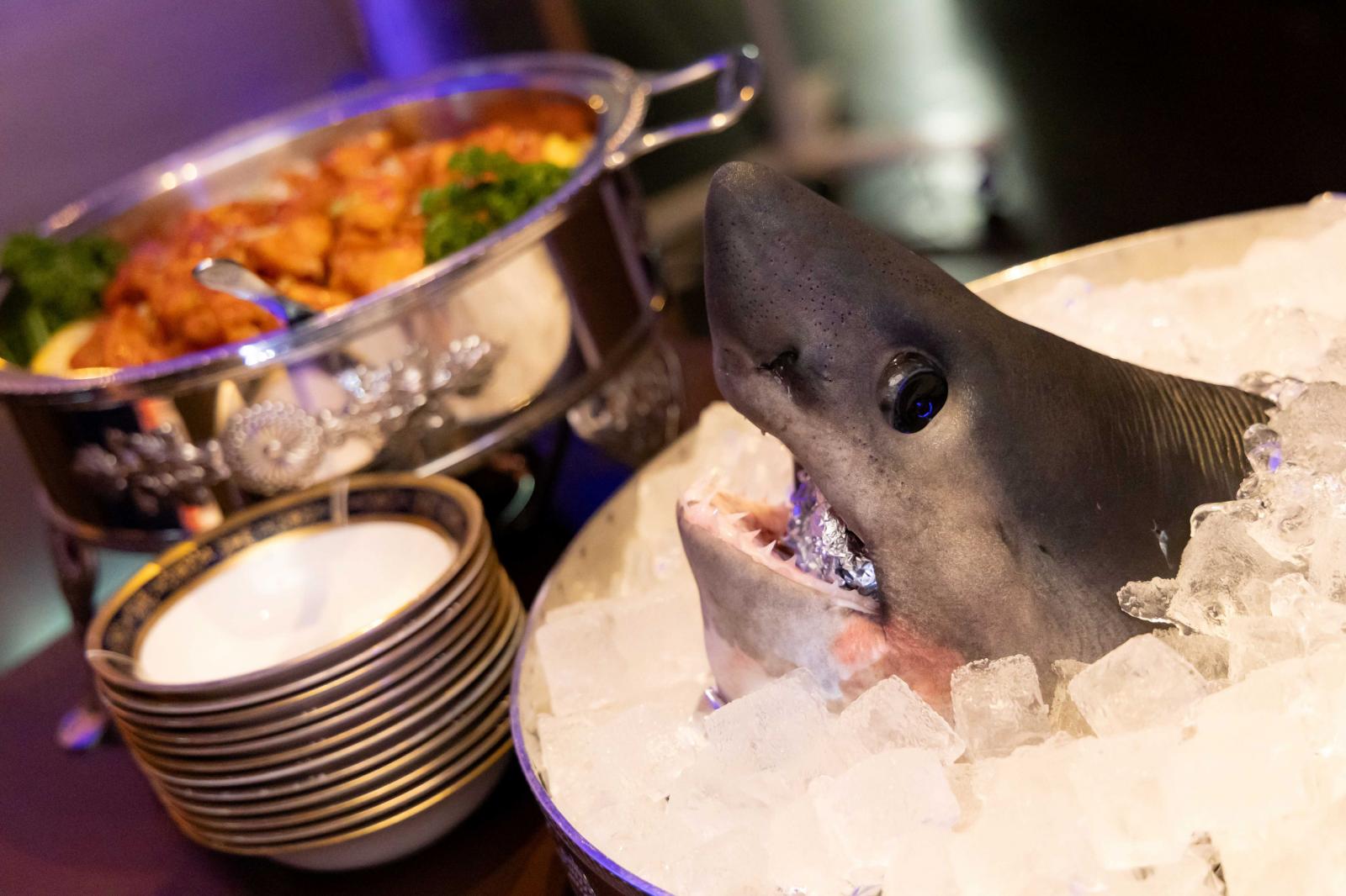 大好きなサメも登場！？ゲストも驚く夢のような演出とこの日は「サメ料理」を堪能♪