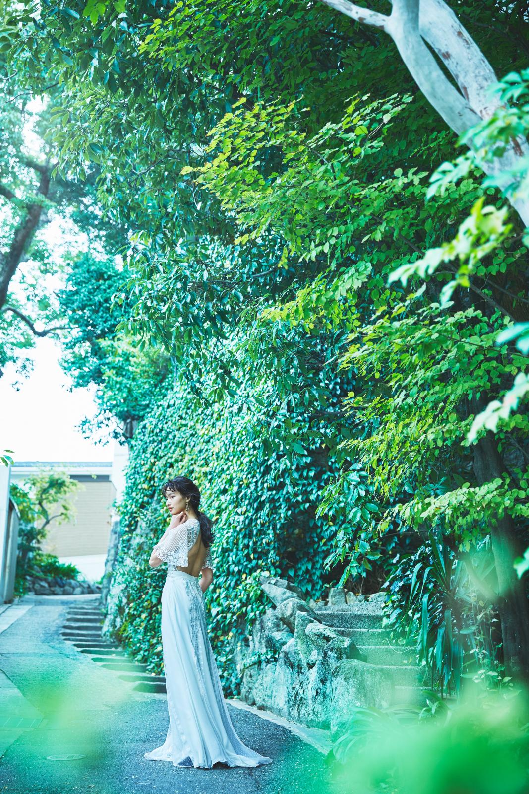 建物の裏手には蔦の葉が印象的なスロープがフォトスポットとして人気