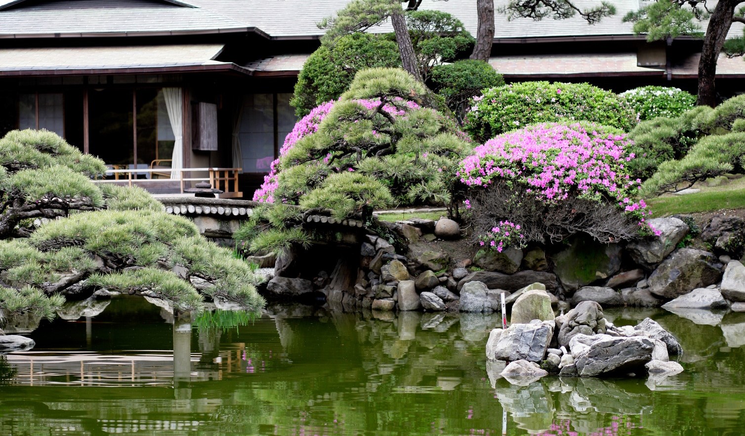 その美しさで定評がある池泉回遊式庭園「百年の庭」。四季折々にその姿を変え、見る人を楽しませる