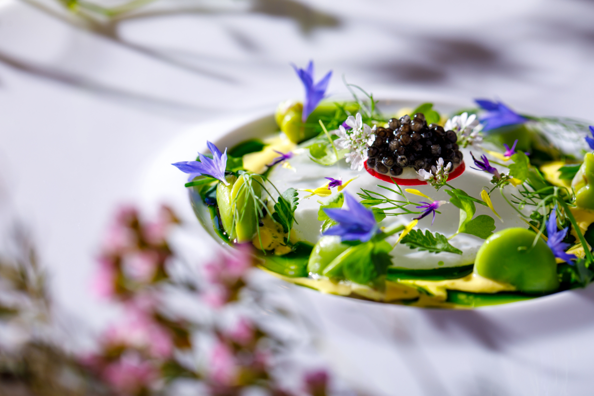 美しく華やかなお料理を、心をこめて。生産者の思いを大切に探し求めた「素材」、生産者への敬意を込めた「下味」、ゲストへの感謝を伝える「火入れ」。この3つの要素に徹底的にこだわった、色彩豊かなお料理。