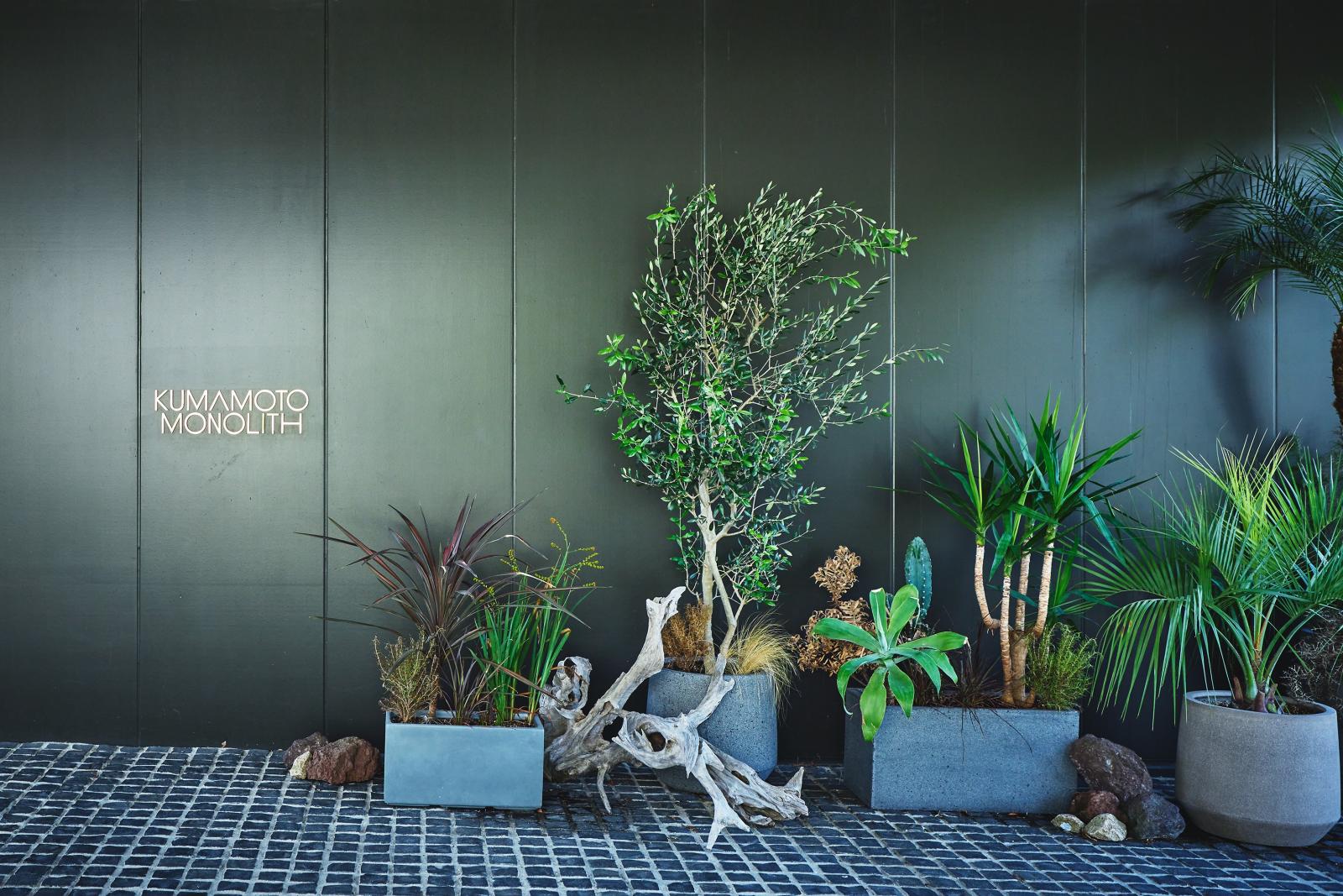 緑と光に包まれた一軒家でふたりらしい一日を