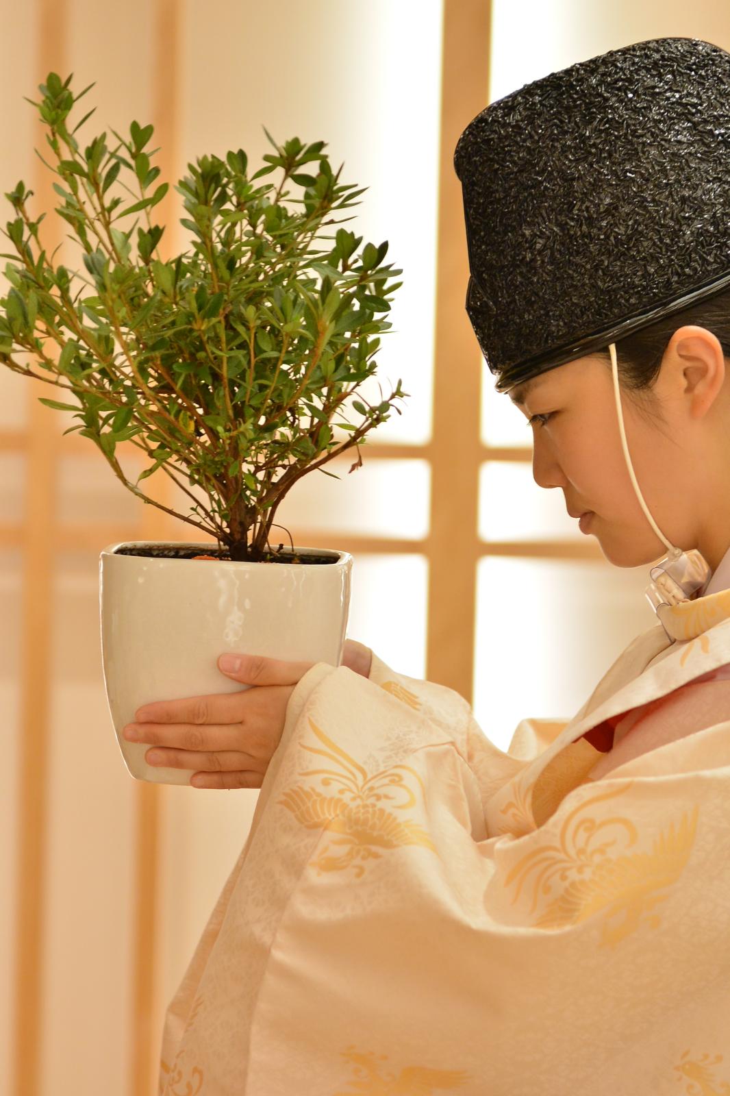 【献木の儀】<br />
お二人がご家族になり、大地に根を張り育つようにという願いを込め「つつじの植樹」を行う。