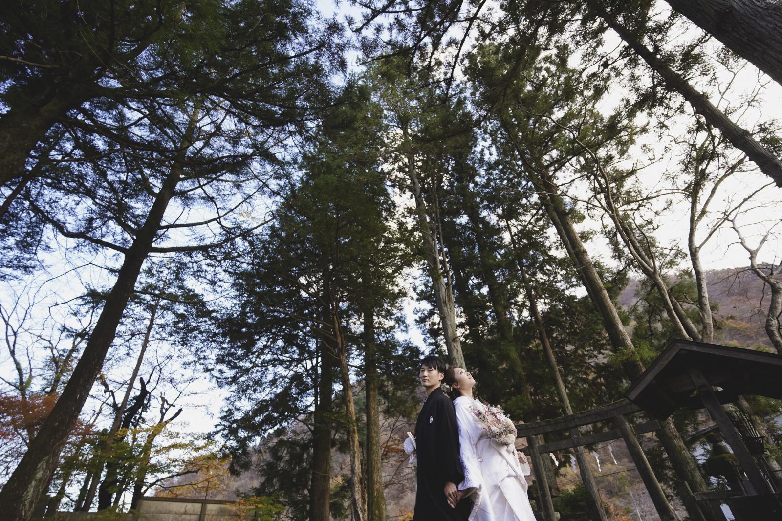 割烹二葉から徒歩数分の磐裂神社<br />
杉と苔のしっとりした美しさとマイナスイオンが二人を癒してくれる
