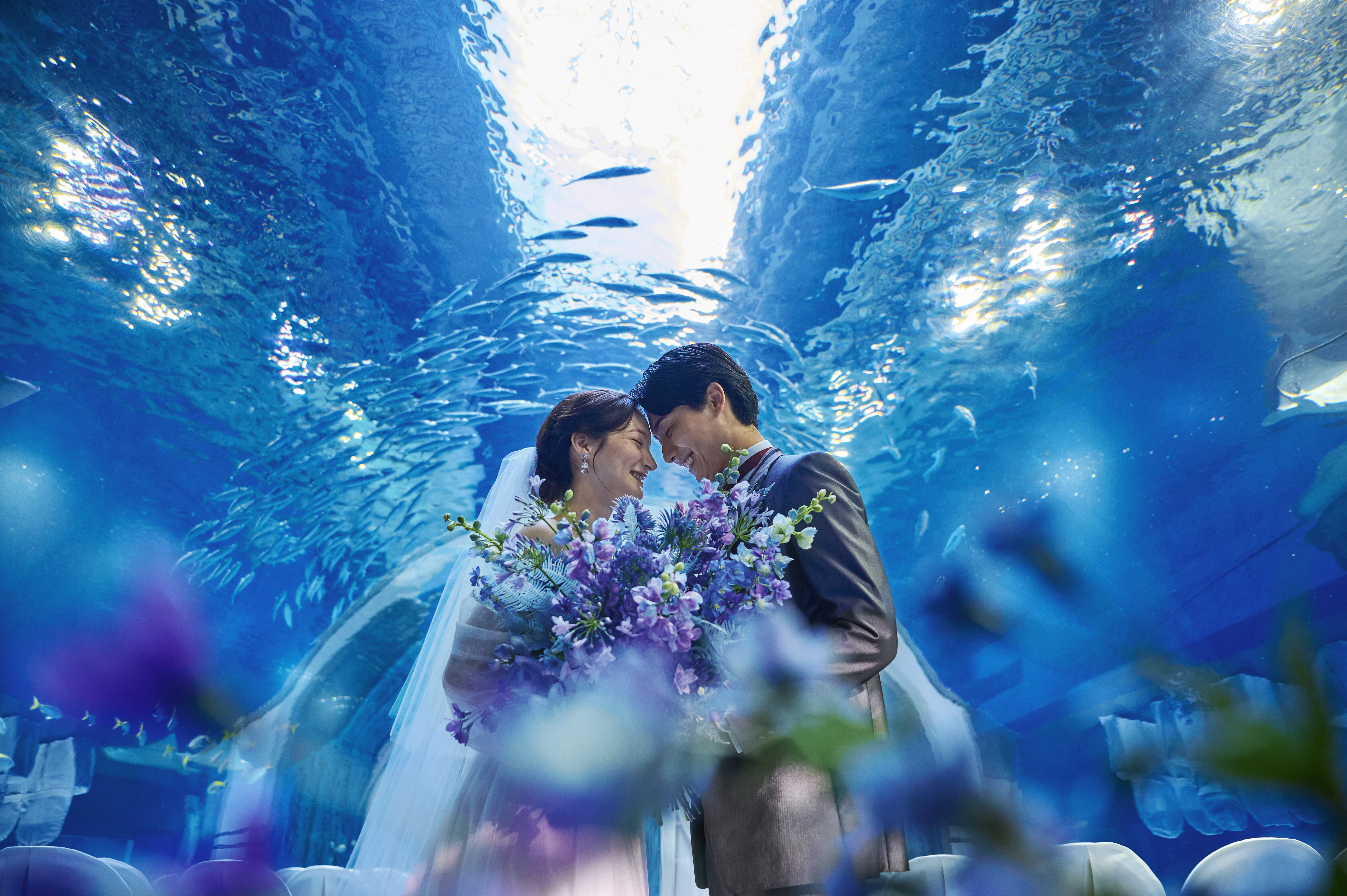＼水族館チケット付／本番料理試食付◆はじめての式場見学フェア