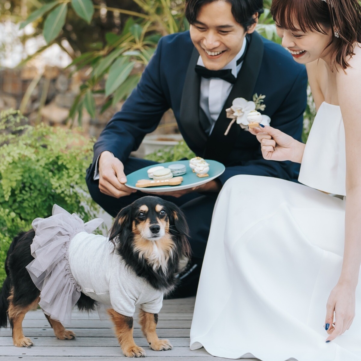 ［表参道で貸切ペットW］黒毛牛コース贅沢試食×貸切の魅力！ワンちゃん料理特典付き