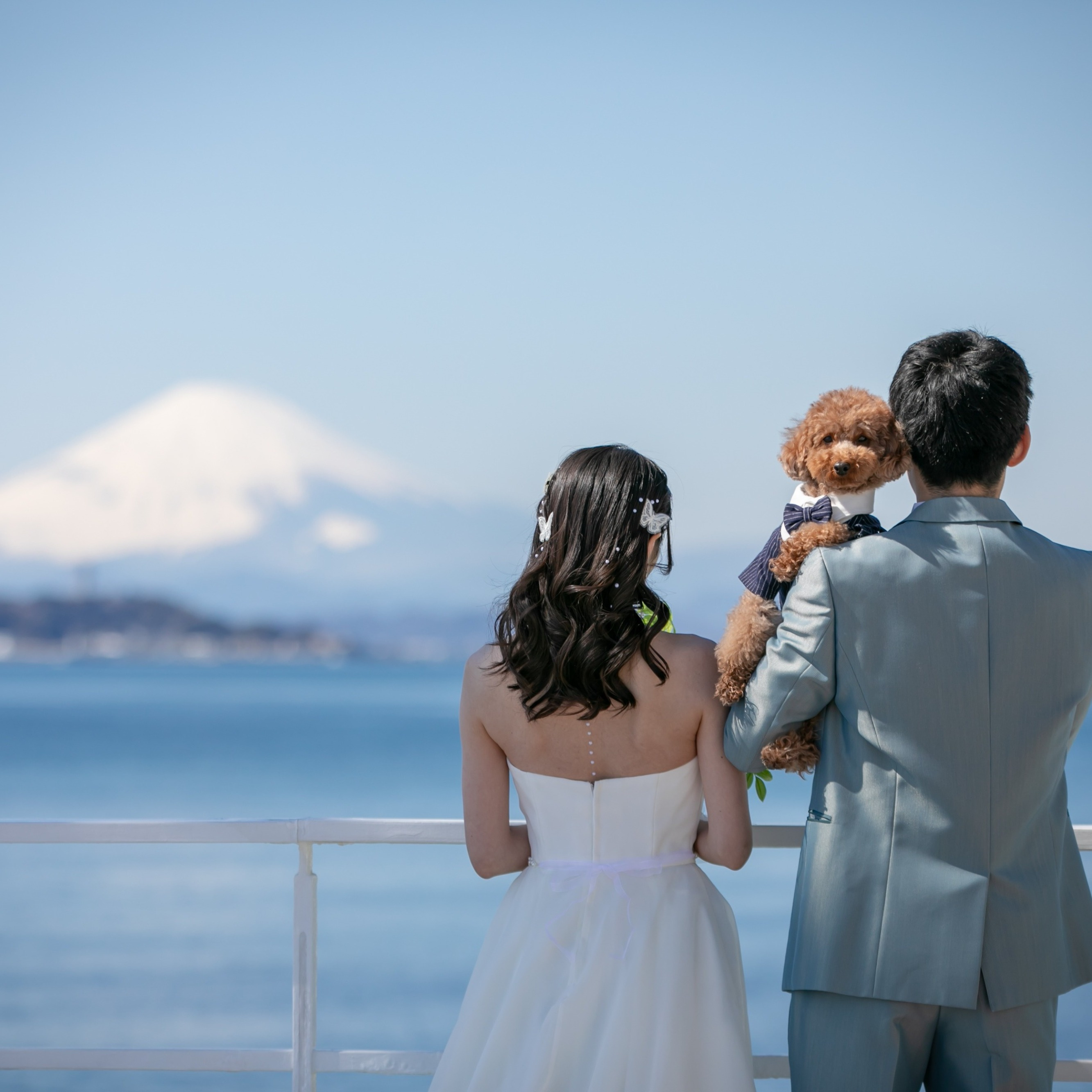 【ペット婚】愛犬と叶える海辺のリゾートウェディング相談会