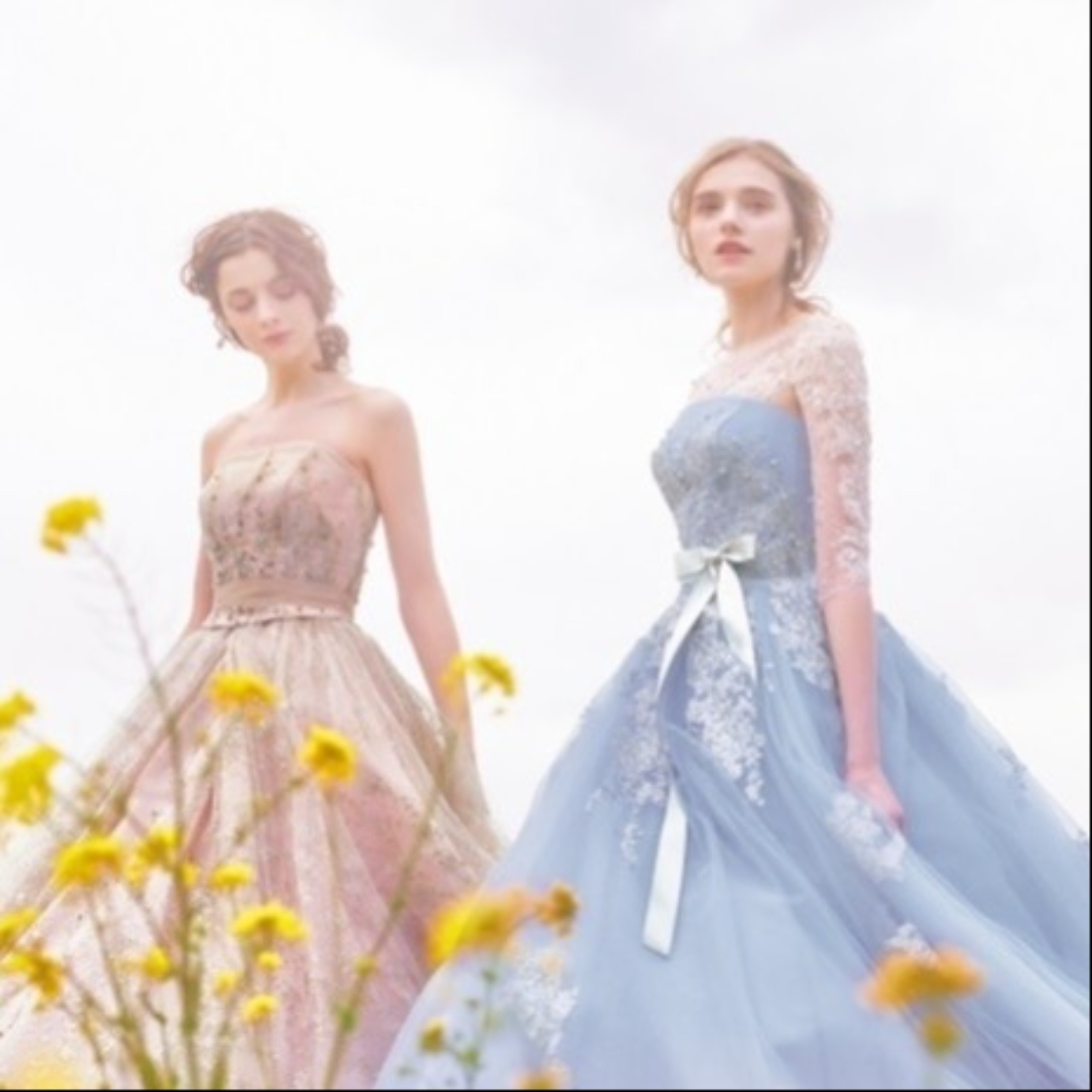 ＼平日限定リアル花嫁体験／ドレス試着×卒花実例公開フェア