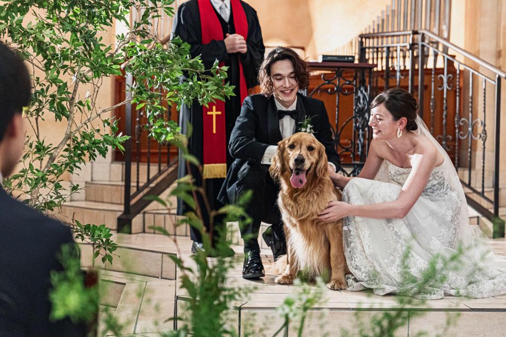 【わんダフル婚】<愛犬も同伴見学OK>リングドッグ体験＆会場案内