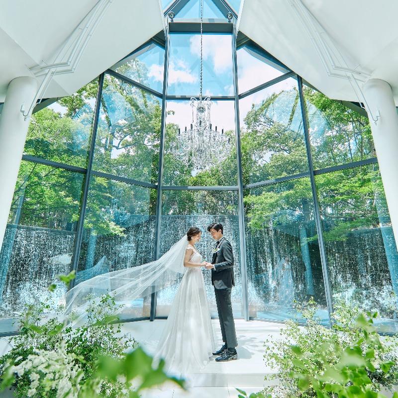 【140万優待×4万Gift】緑溢れる滝のチャペル×20大特典*3万試食