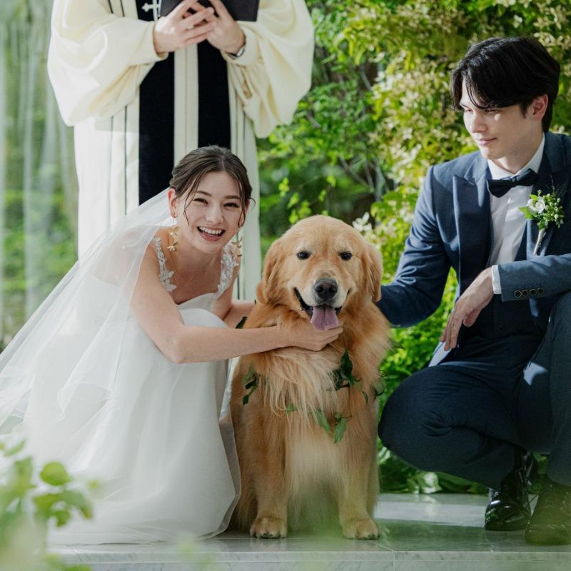 【わんダフル婚】<愛犬も同伴見学OK>リングドッグ体験＆会場案内