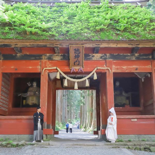 【善光寺/戸隠神社/武井神社挙式もお任せ】現代和婚相談&試食会