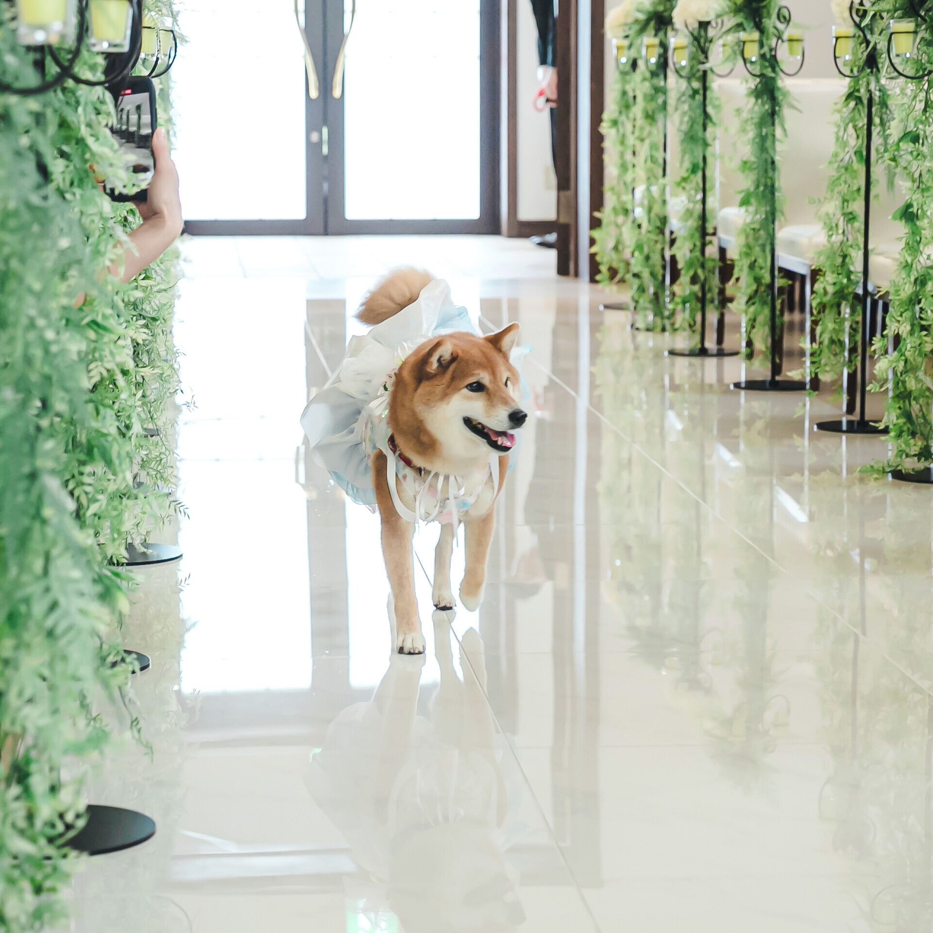 【愛するペットと自由W】愛犬料理特典付！ペットW相談×試食会