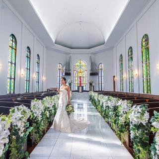 【花嫁FULL体験】大聖堂体験×新作ドレス案内×豪華試食