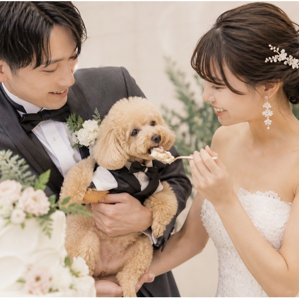 《 ペットＯＫ》 大切な家族と叶える愛犬演出＆相談会×美食体験