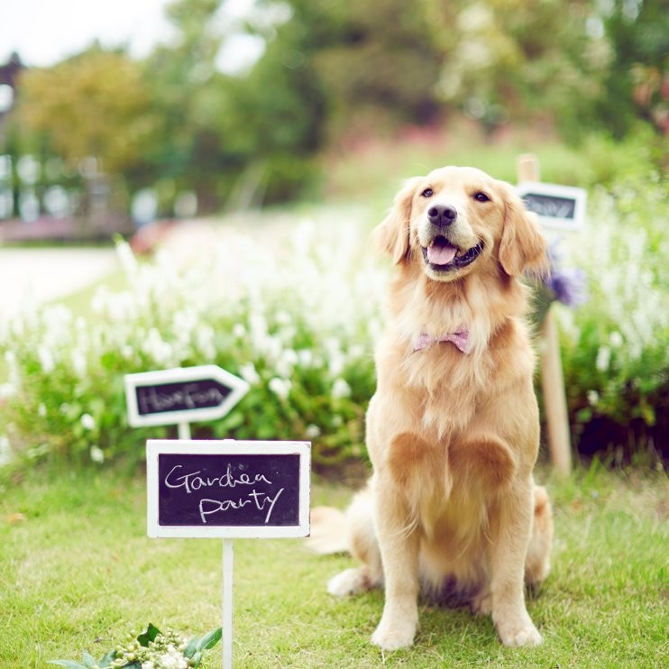 《 ペットも大切な家族 》 ペットと一緒に出来ること相談会♪