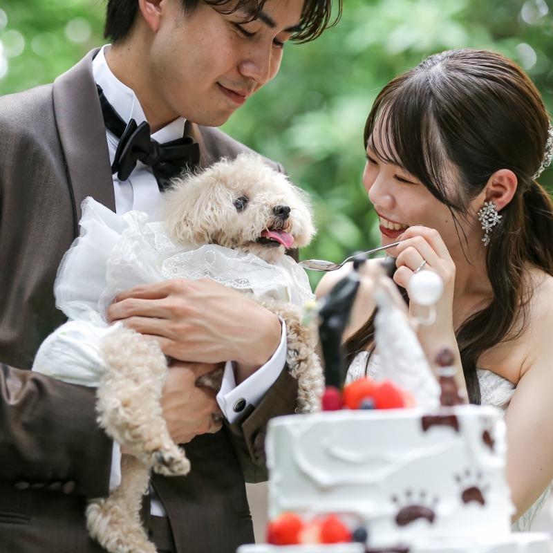 【ペット婚×ガーデン挙式】大切な家族とずっと一緒◆貸切安心相談会