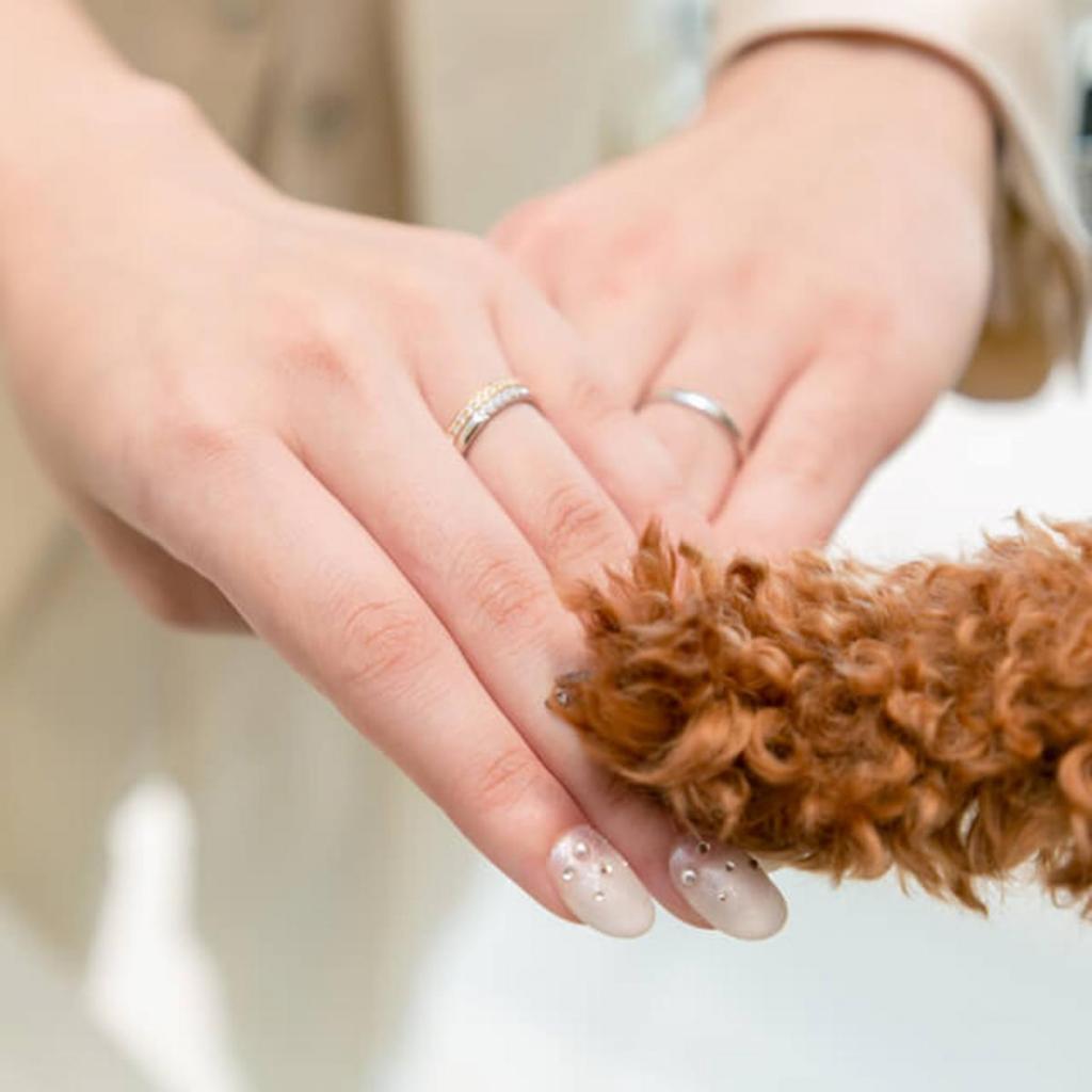 【ペット参加OK◎】挙式も披露宴もずっと一緒＊試食付き相談会