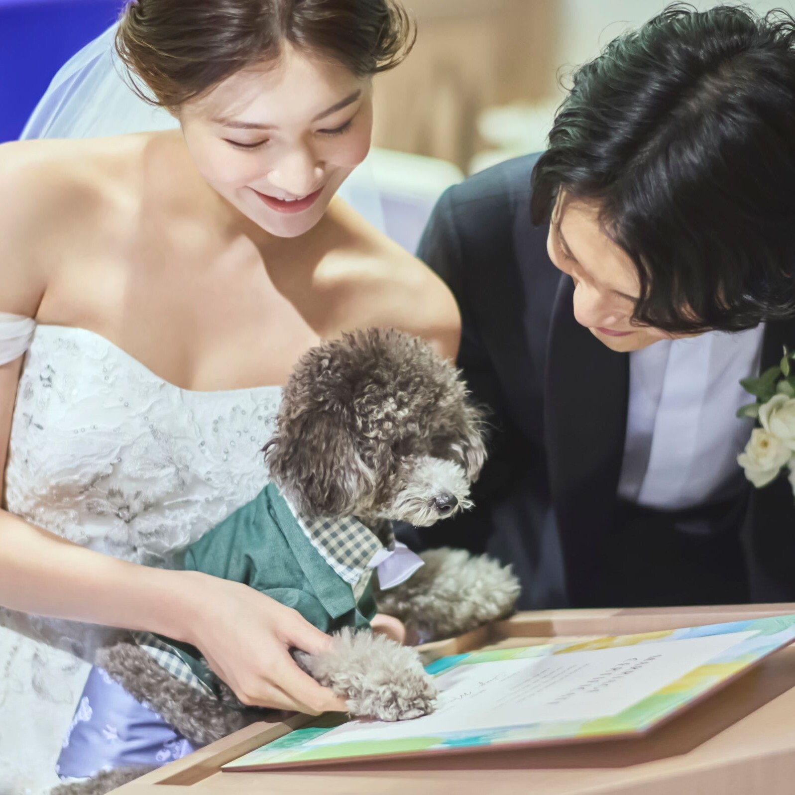 《挙式から披露宴までずっと一緒★》自由度抜群♪ペット婚相談会