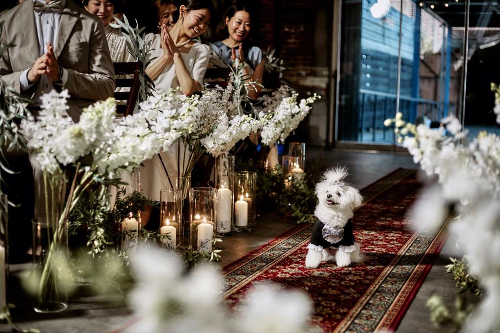 ✧愛犬・愛車OK✧大好きを詰め込んだ自由度重視Wedding相談会