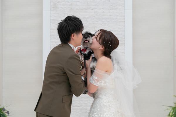 【愛犬も主役】リングドッグから写真撮影まで！愛犬と叶えるペット婚相談会