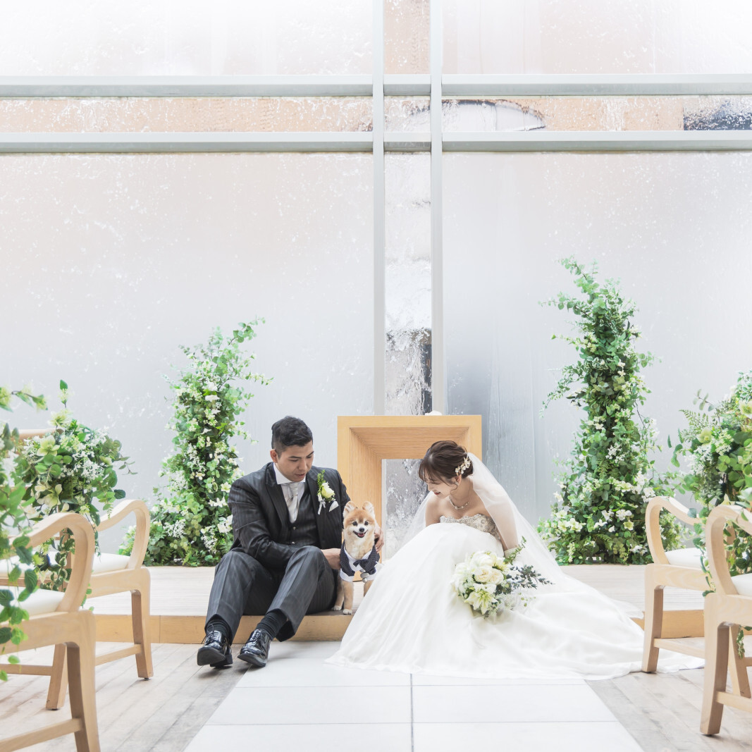 しあわせワンだふるフェア～ペットと一緒に叶える、ナチュラルウエディング～