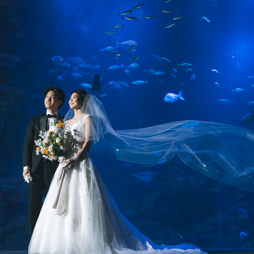 ホテルグランヴィア京都 京都水族館前撮りプロデュース 絶品試食 挙式体感 見積り相談 結婚スタイルマガジン