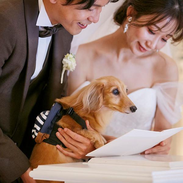 【ペット婚】待て7秒できたら会場費×挙式料プレゼント♪