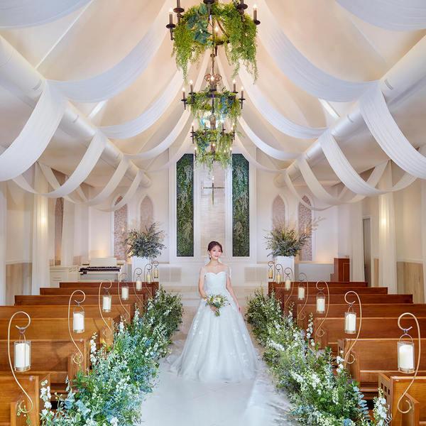 【予算重視】23周年記念 6名40万円～