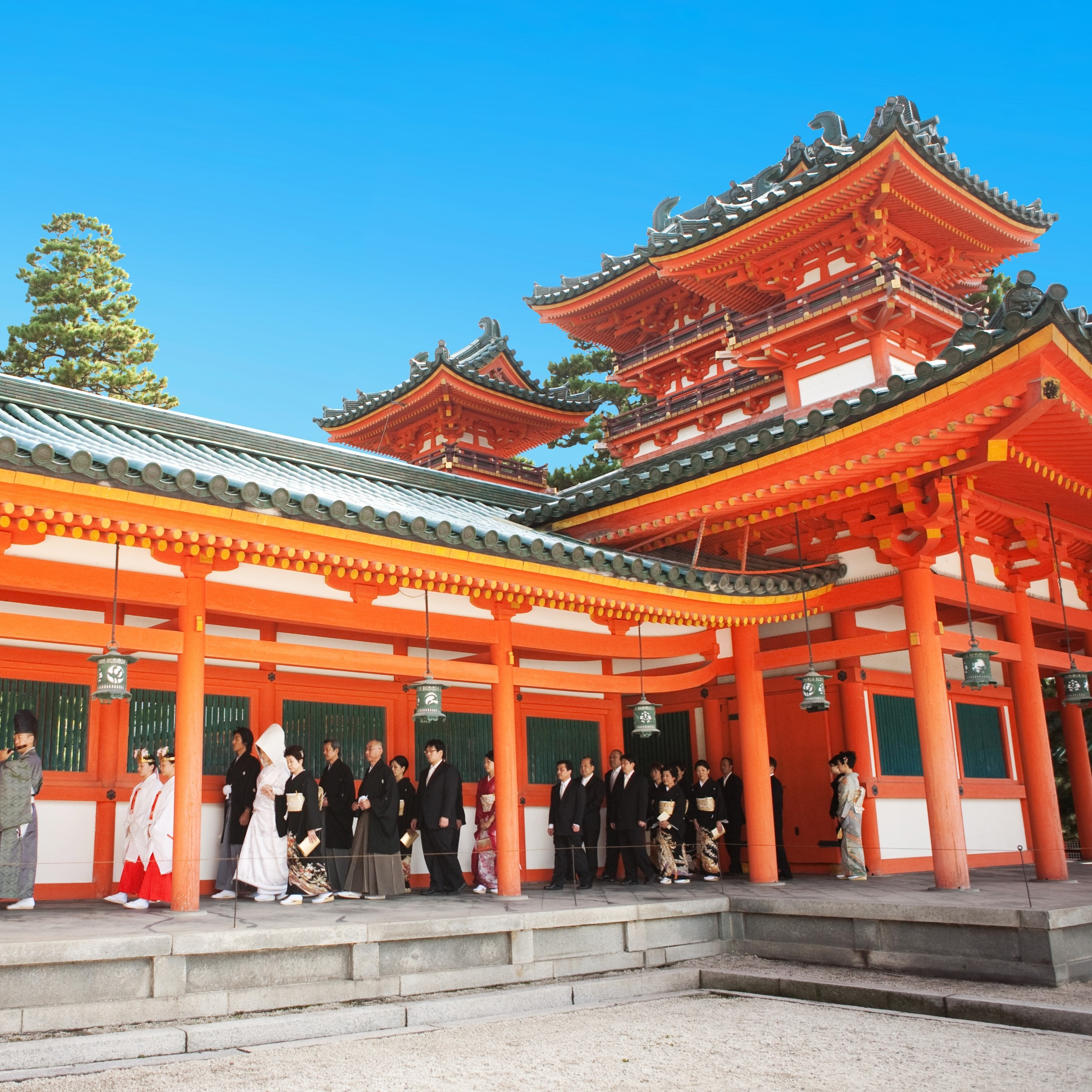 祝日BIG■本格和婚検討の方へ■【神社式丸わかり】四季彩る名勝神苑見学
