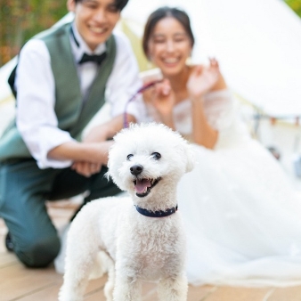 ペットOK♪家族みんなで叶えるウエディング体験＆相談会