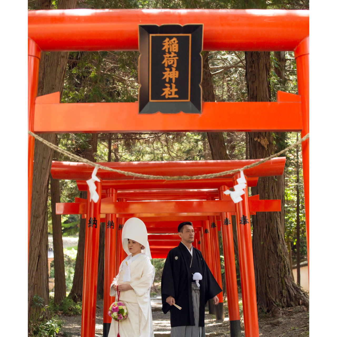 【6月末までの挙式限定】少人数神社式（和婚）応援フェア