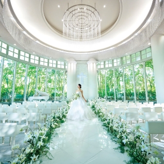 【GW限定★嬉しい25大特典付】プレミアムプラン発表フェア