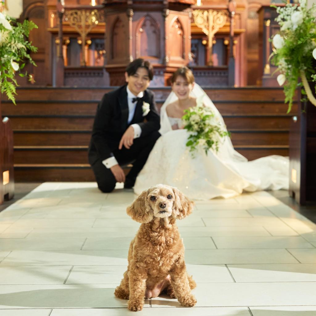 【愛犬と一緒にウエディング】ペット婚×おいしいと評判◎の試食
