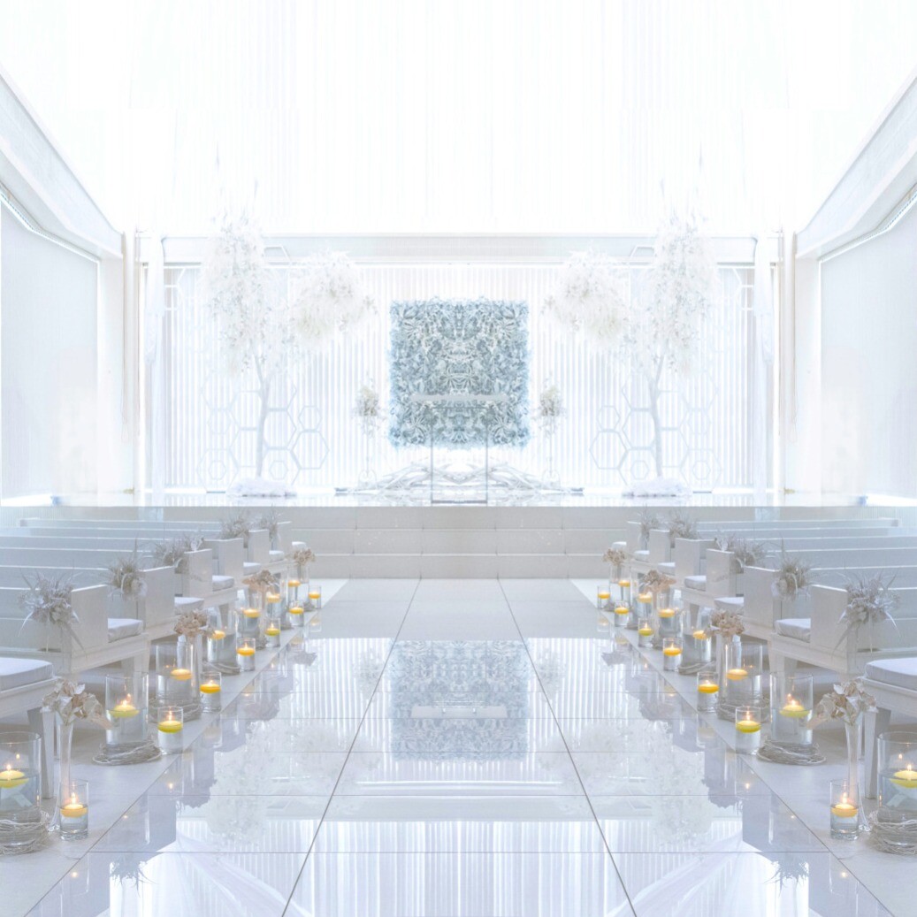 【初見学応援】ゲスト満足度＆料理満足度◎豪華course試食FAIR