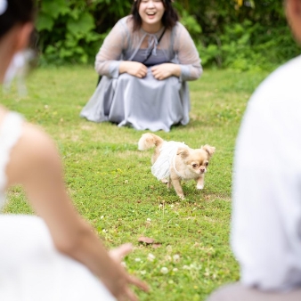 【憧れのペット婚】大切な家族と過ごすプライベートWD相談会