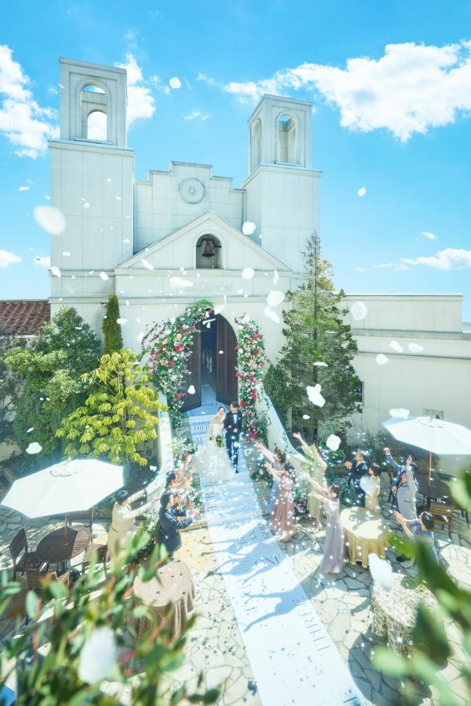 【2件目以降に◎】特製コース試食&お悩み解決徹底比較フェア