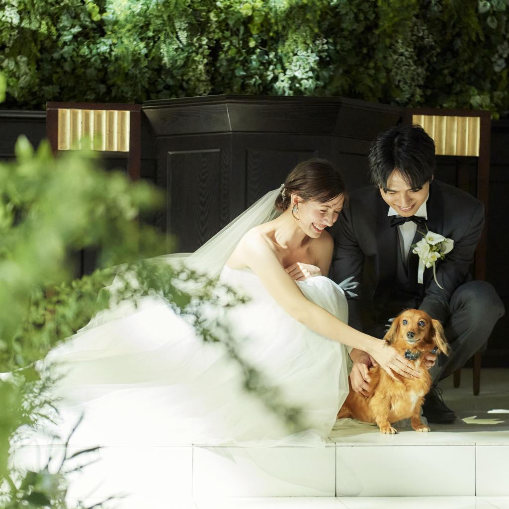 パパママ婚・和婚・ペット婚｜最大140万円優待×贅沢試食×スタイル別の安心相談会