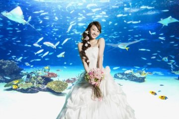 サンシャイン スカイブライダル