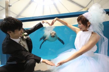 登別マリンパークニクス
